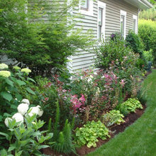 Landscaping Ideas