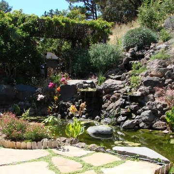 Hardscape Pathways Waterfeatures