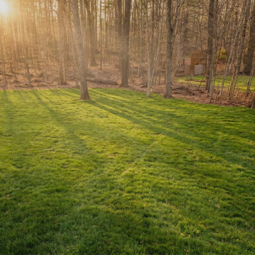 Yard Landscaping Services Niskayuna, NY Shade Lawn