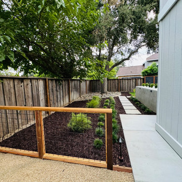 Morgan Hill Mordern Landscape