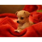 Linda Lee's photo