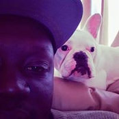 Photo de Tony A