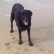 Gracie Reardon's photo