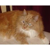 Carol Weatherby's photo