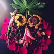 Elliott Horn's photo