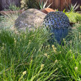 Argia Designs Landscape Design & Consultation's profile photo