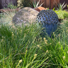 Argia Designs Landscape Design & Consultation