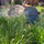 Argia Designs Landscape Design & Consultation