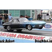 Mike Gentile's photo
