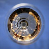 Bill Haskins's photo