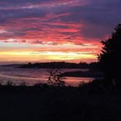 Jennifer Nadelson's photo