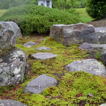 Moss