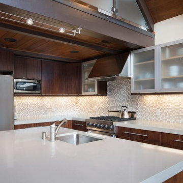 Tiger Tail-Contemporary Mountain Home In Squaw Valley