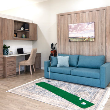 SOFA AND MURPHY BED