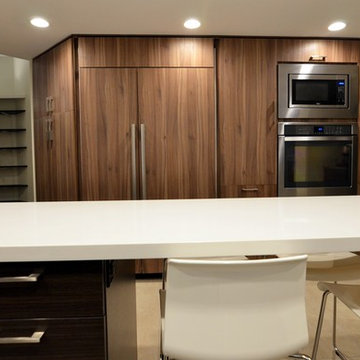Small "U" Shaped Modern Kitchen with White and Wood Finishes in Geneva, IL