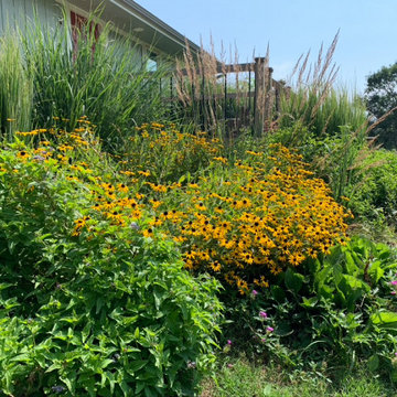 Native Plant Landscaping, Hardscaping, and Bioswales