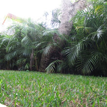 Fence covering