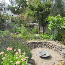 Backyard ideas