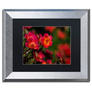 Jason Shaffer By Broken Wings Matted Framed Art Contemporary Prints And Posters By Trademark Global