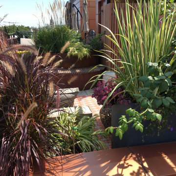 Cobble Hill Rooftop & Pergola
