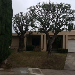 Pepper tree trimming - Products