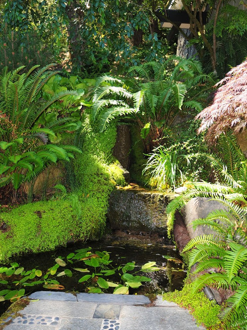 Garden Water Features | Houzz