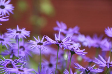 Gartenpflege