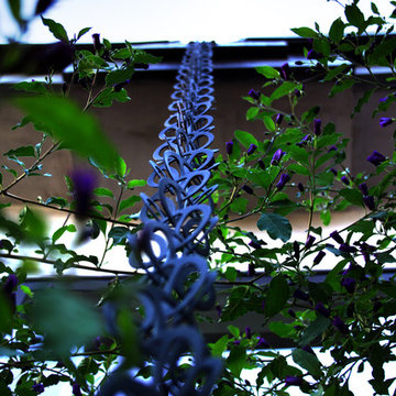 Custom Home | The Butterly House