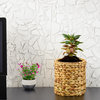 Serene Spaces Living Eco-Friendly Water Hyacinth Collection, Vases
