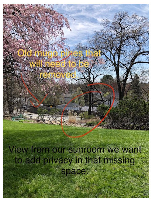 Help grouping shrubs