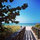 ann_kieran