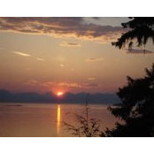 Lynnette Mcnutt's photo