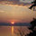 lynnette_mcnutt