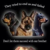 Marilyn Bratton's photo