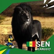 Doudou Ndoye's photo