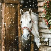 Carol Neely's photo