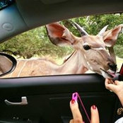 Mayra Levi's photo