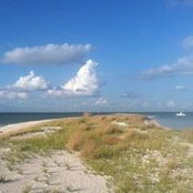 James Golden's photo