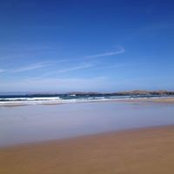 Bernie Boyle Kavanagh's photo