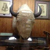 Brett Balyeat's photo