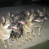 Carol Johnson's photo