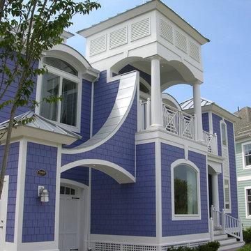 Peninsula Iris