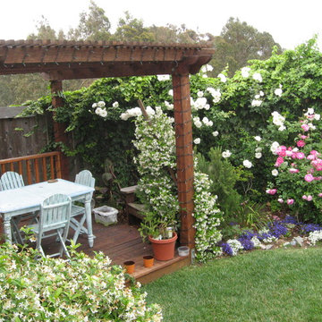 Malibu Backyard