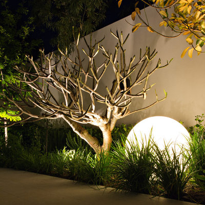 Contemporary Garden by Tim Davies Landscaping | Perth