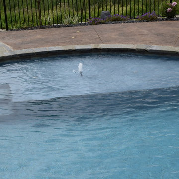 Outdoor Adventure Swimming Pool {LW}