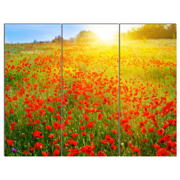 Beautiful Sunshine over Poppy Fields, Floral Canvas Art print, 36x28, 3 Panels