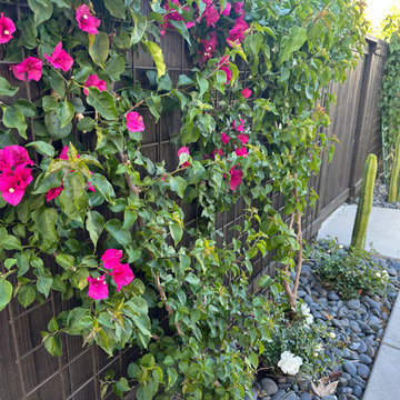 Davis Hacienda