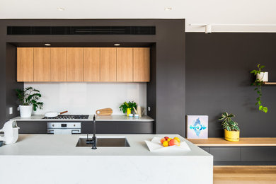 Design ideas for a mid-sized contemporary galley kitchen in Melbourne with an undermount sink, flat-panel cabinets, black cabinets, white splashback, stainless steel appliances, medium hardwood floors, with island, brown floor and white benchtop.
