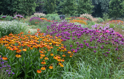 3 Sizzling Color Palettes for Summer Gardens