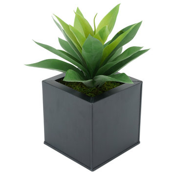 Faux Frosted Light Green Succulent in Square Zinc Pot, Black